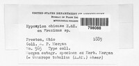 Image Associated With the Occurence